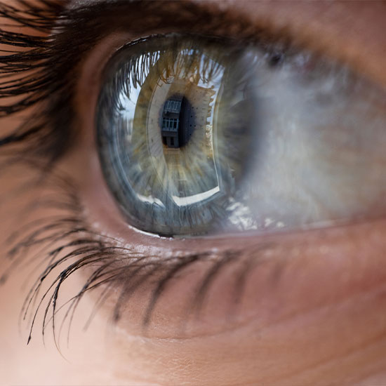 clermont 2 clermont 2